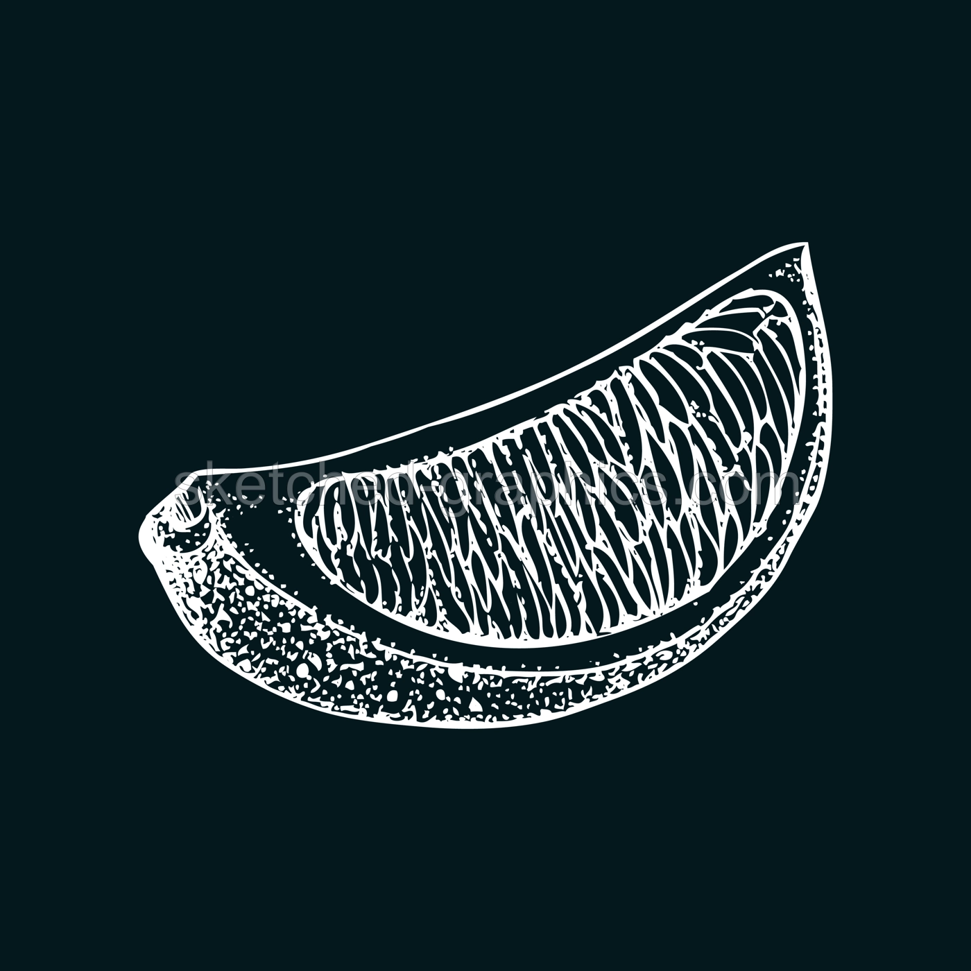 Vintage lime sketch on chalkboard. Citrus fruit slice hand-drawn vector illustration. Exotic plant drawing in engraved style. Botanical design element. NOT AI-generated Illustration